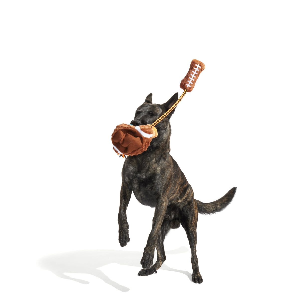 Go Long Distance Call