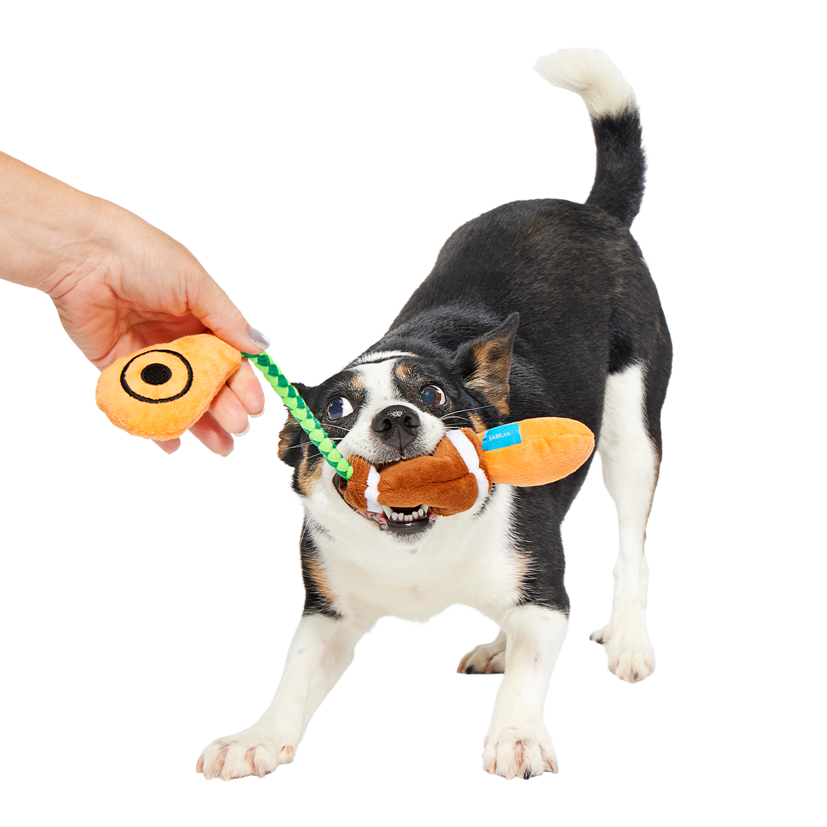 Touchdown Tug Plush Dog Toy