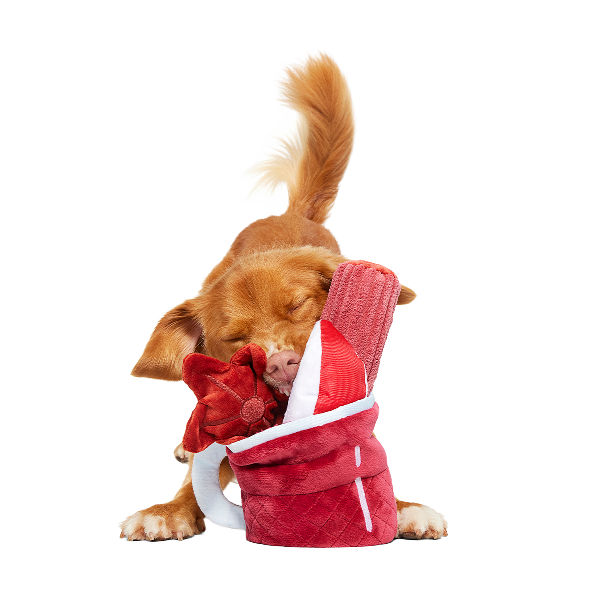 Mulled Wine Plush Multi-Part + Enrichment Dog Toy