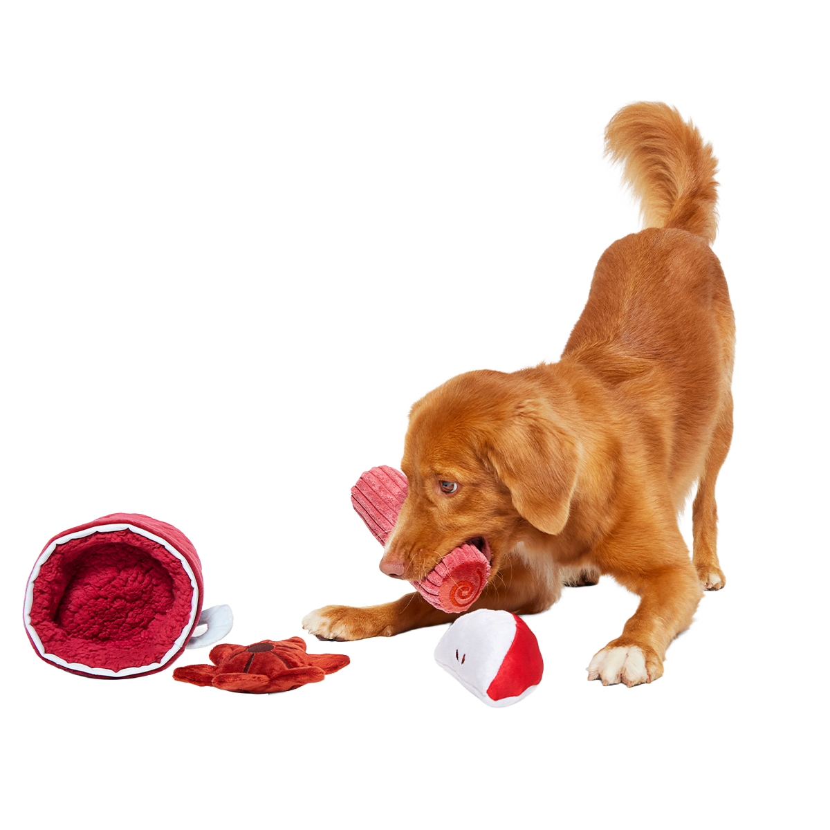 Mulled Wine Plush Multi-Part + Enrichment Dog Toy