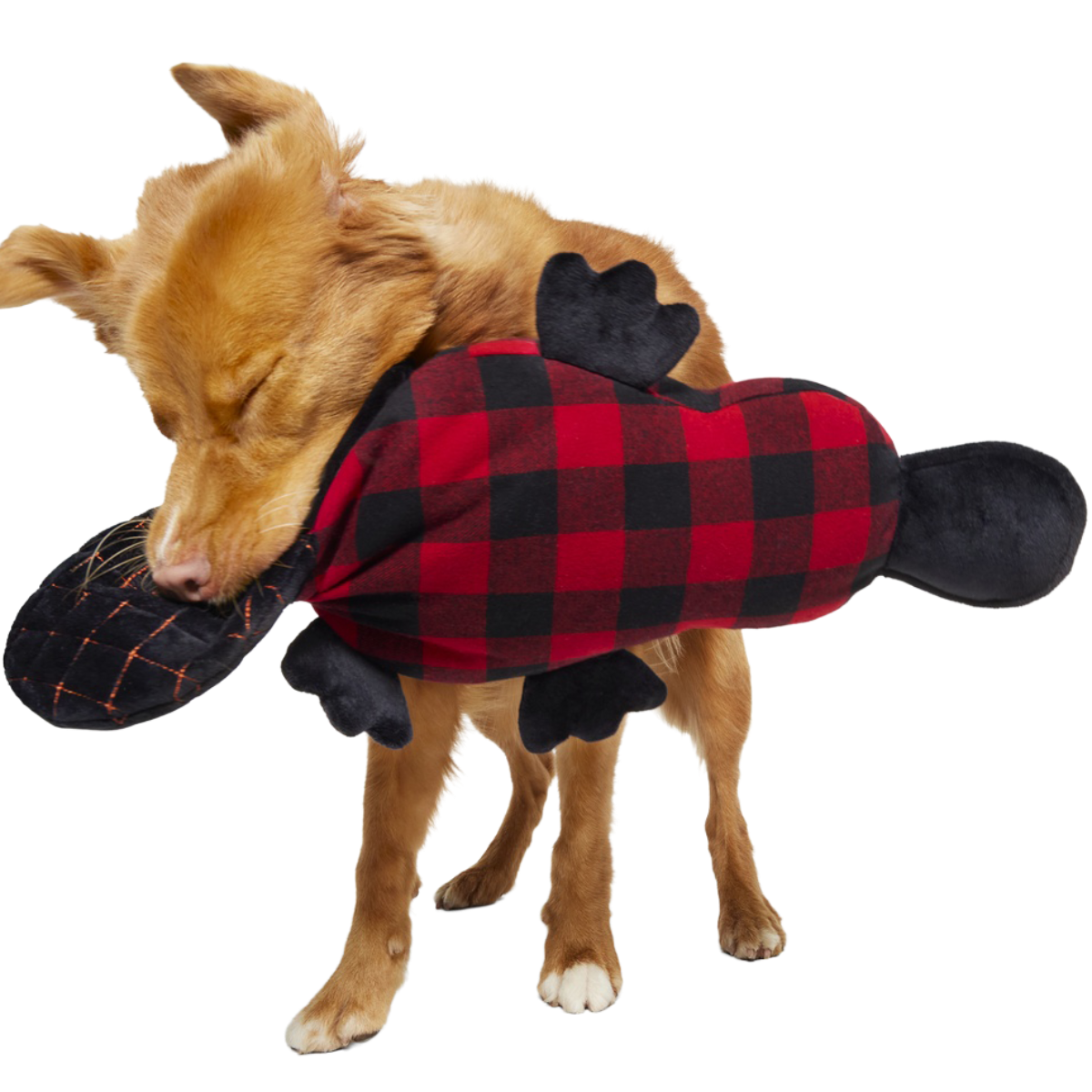 Plaidypus Plush XXL Tug Dog Toy – BARK