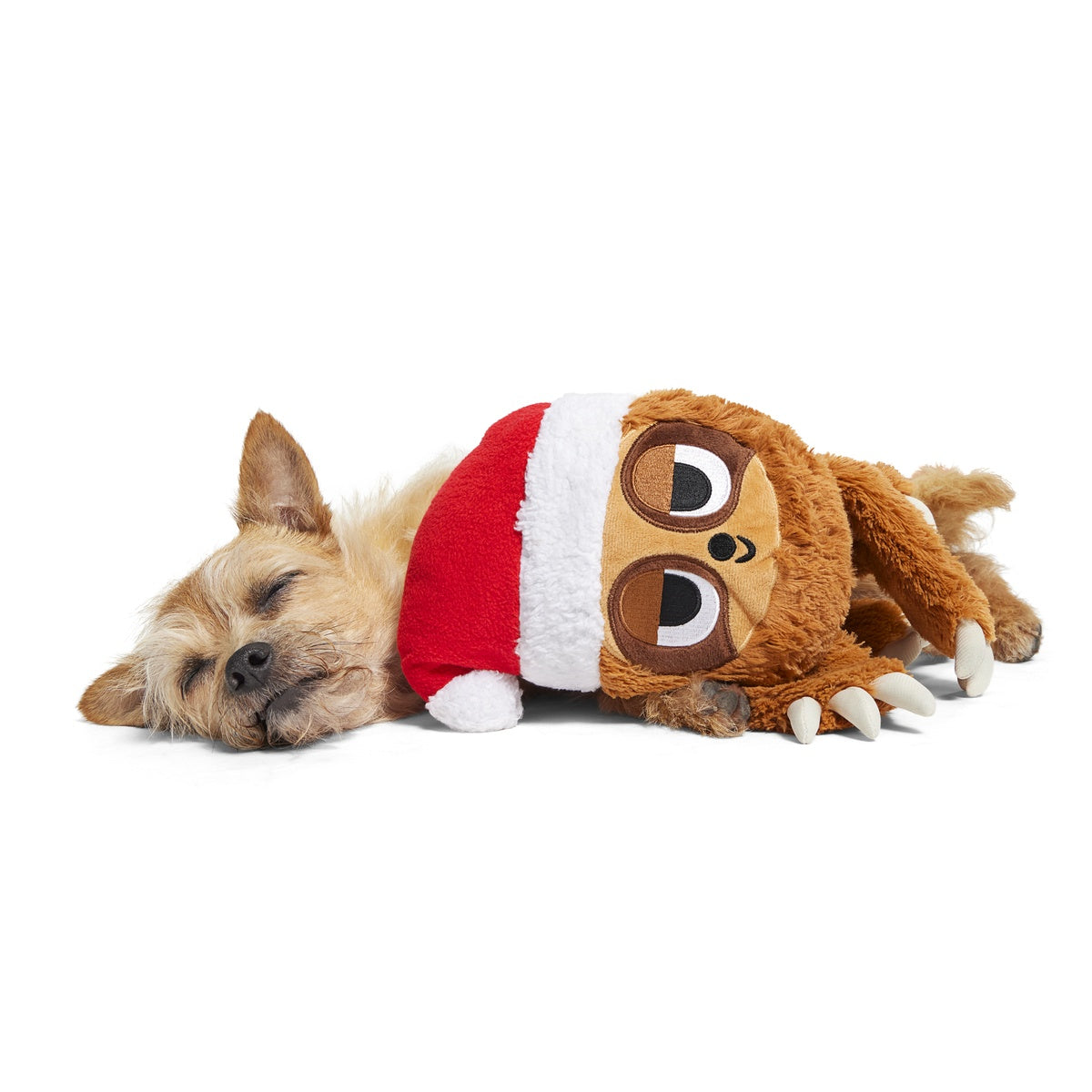 Let It Slow XL Plush Dog Toy