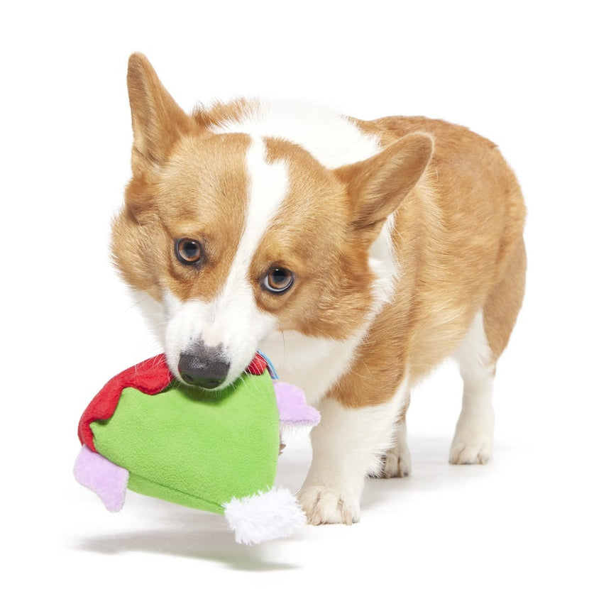 Santa's Little Yelper