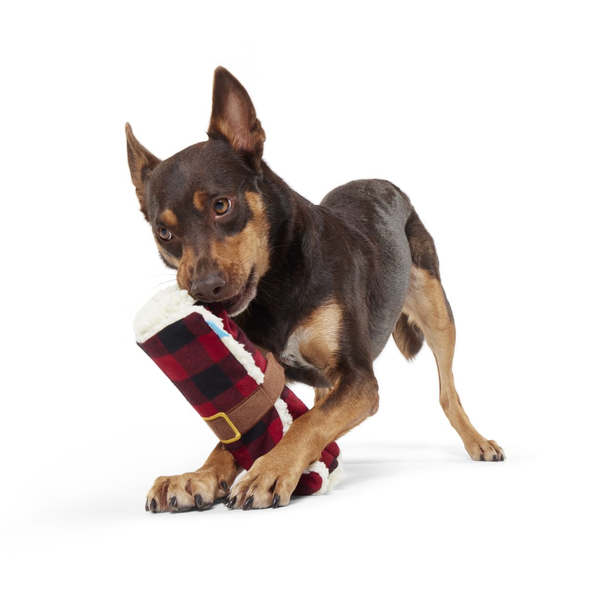 Plaid Party Plush Dog Toy & Treat Holiday Gift Box