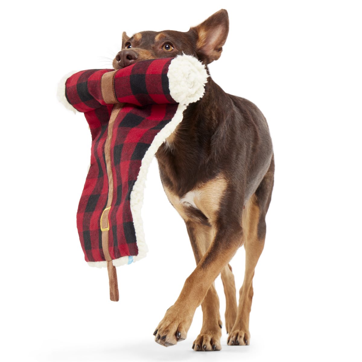 Plaid Party Plush Dog Toy & Treat Holiday Gift Box