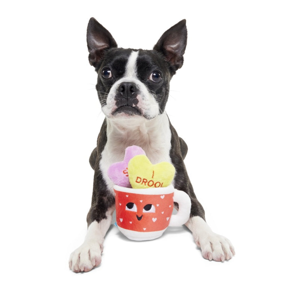 Mugs n' Kisses Plush Multi-Part + Enrichment Dog Toy