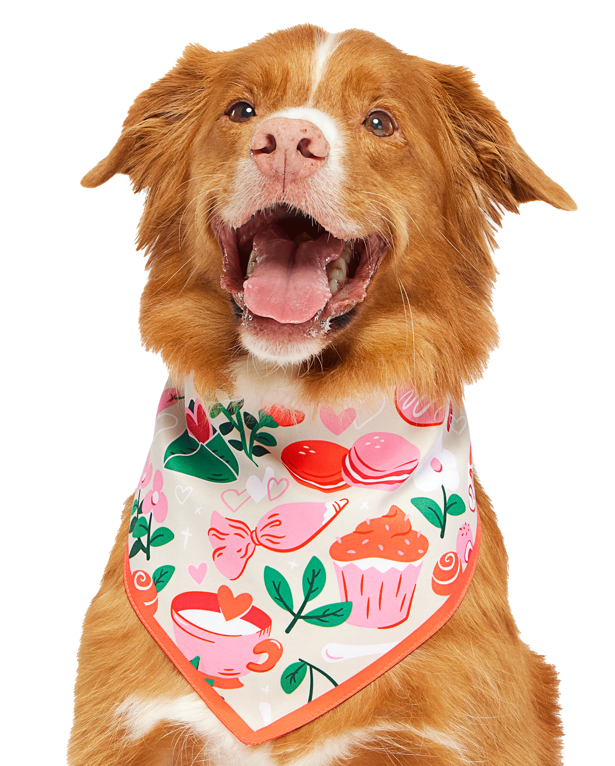 Valentine's Day Bandana