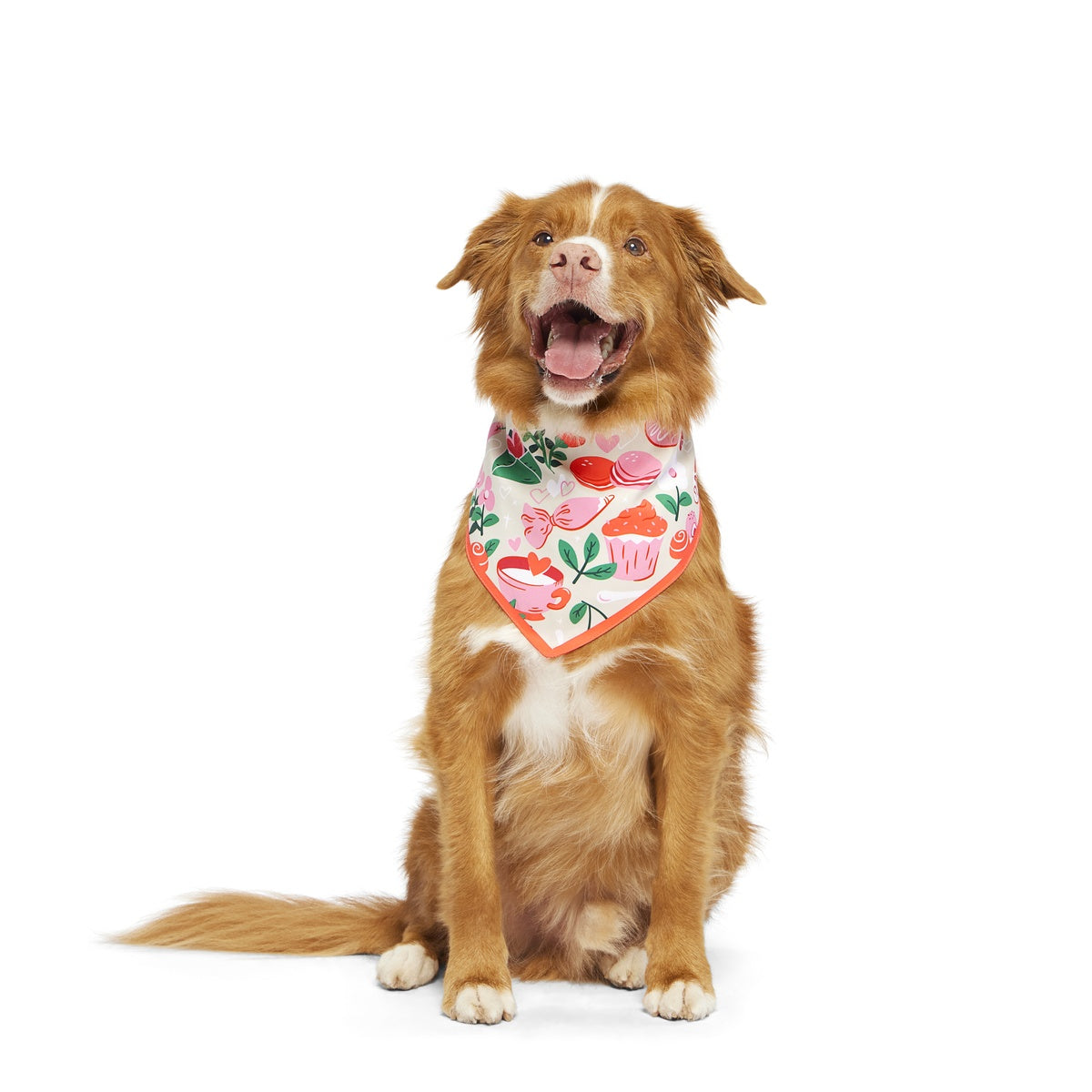 Valentine's Day Dog Bandana