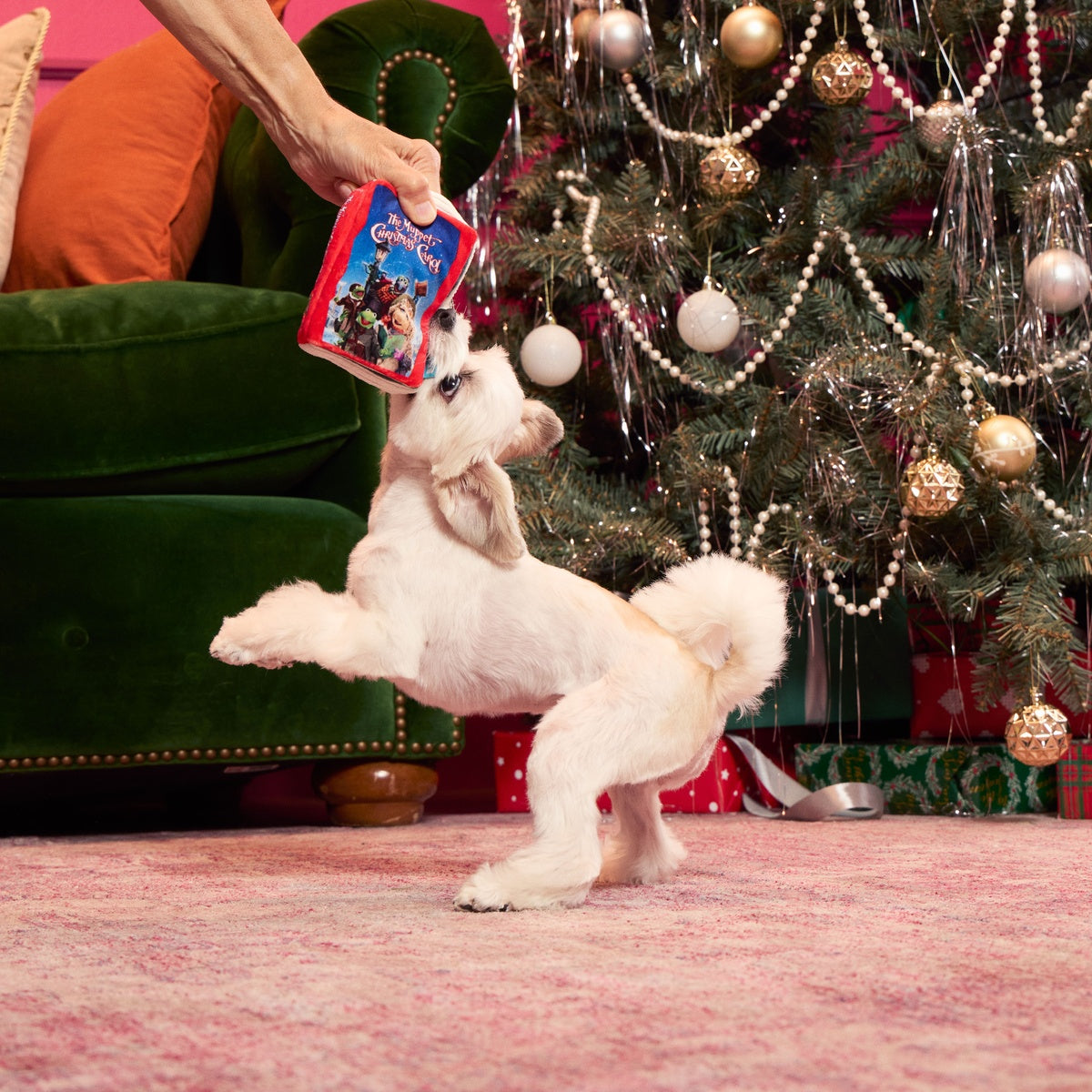 BOX-ATB_216467_THE-MUPPET-CHRISTMAS-CAROL-HOME-VIDEO-S_BELLA_4304_cropped#Size_S