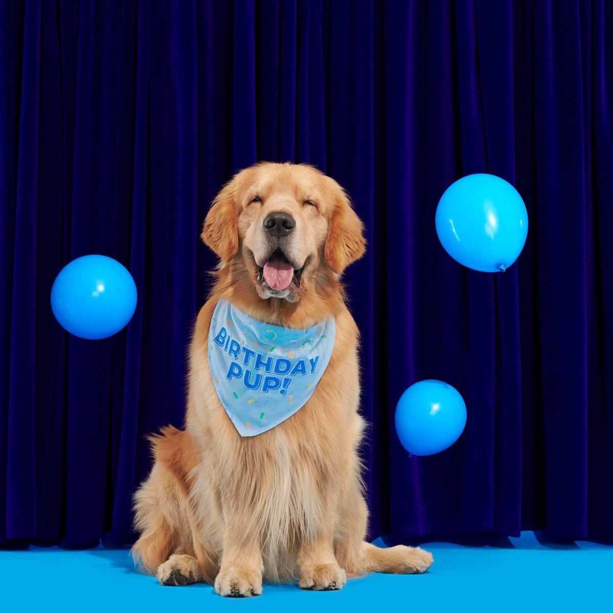 BOX-ATB_BIRTHDAY-BANDANA_211455_M-L_2766_cropped_7fd40cfa-c362-4ed0-8564-91e387278cdb#Size_M/L