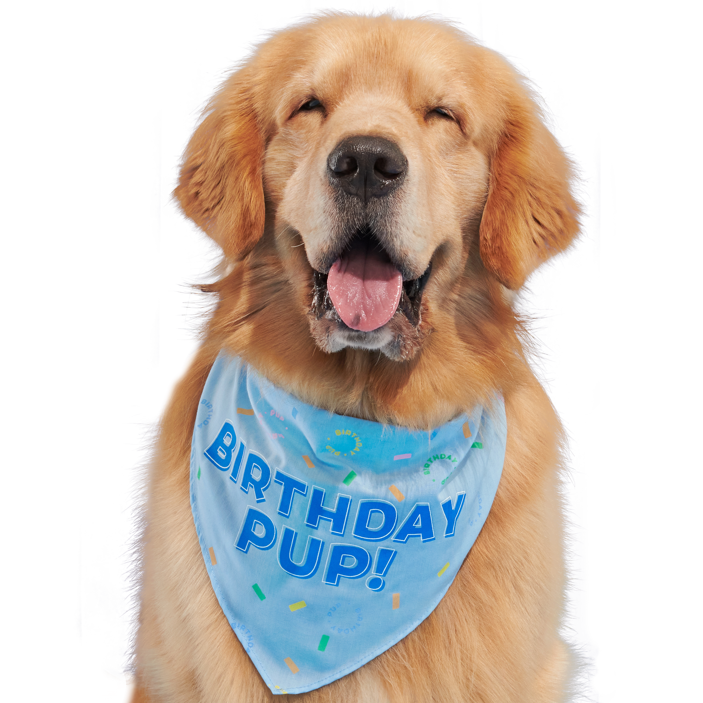 Birthday Bandana