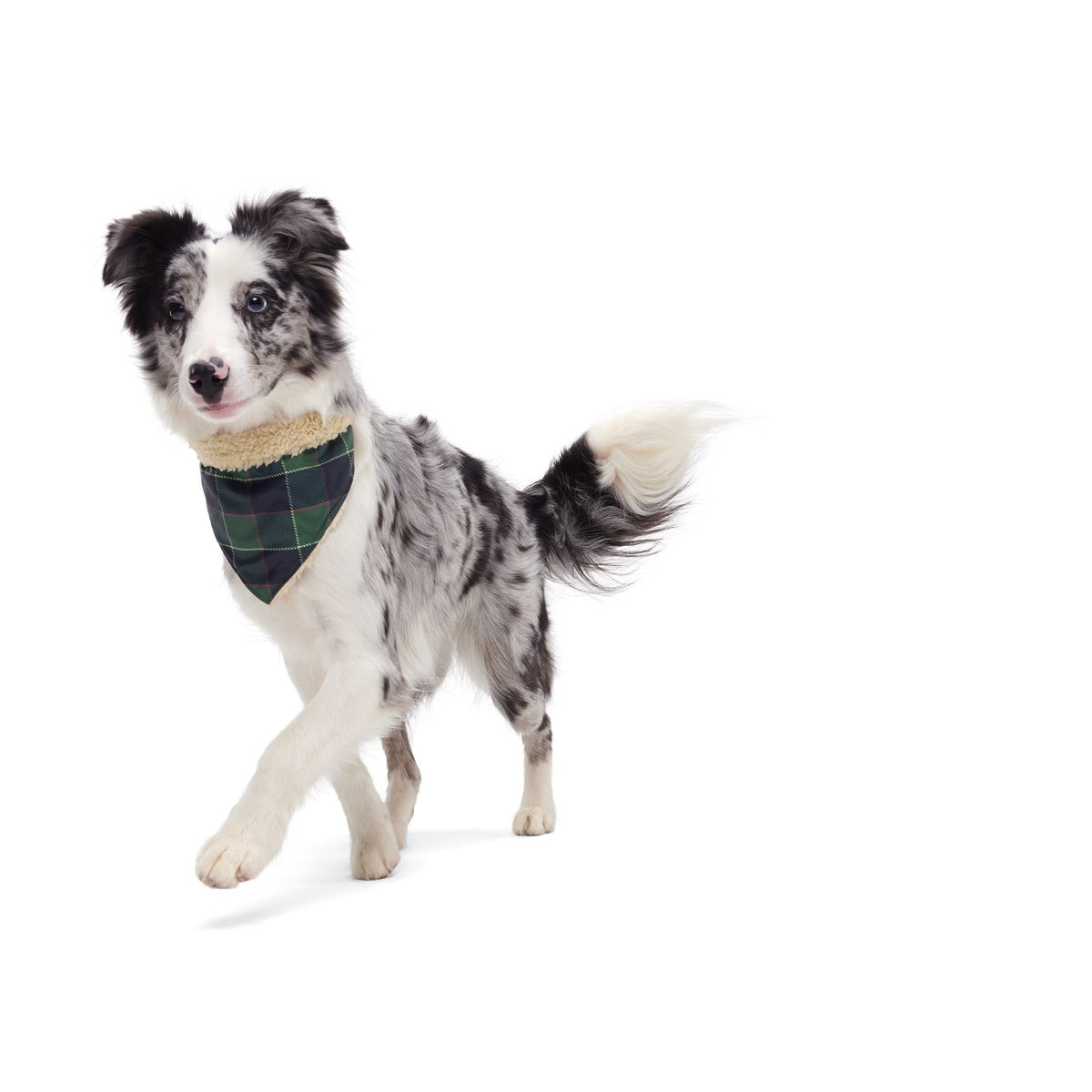 BOX-ATB_PLAID-SEASON-BANDANA-XS-S_215046_1558_cropped#Color_Green