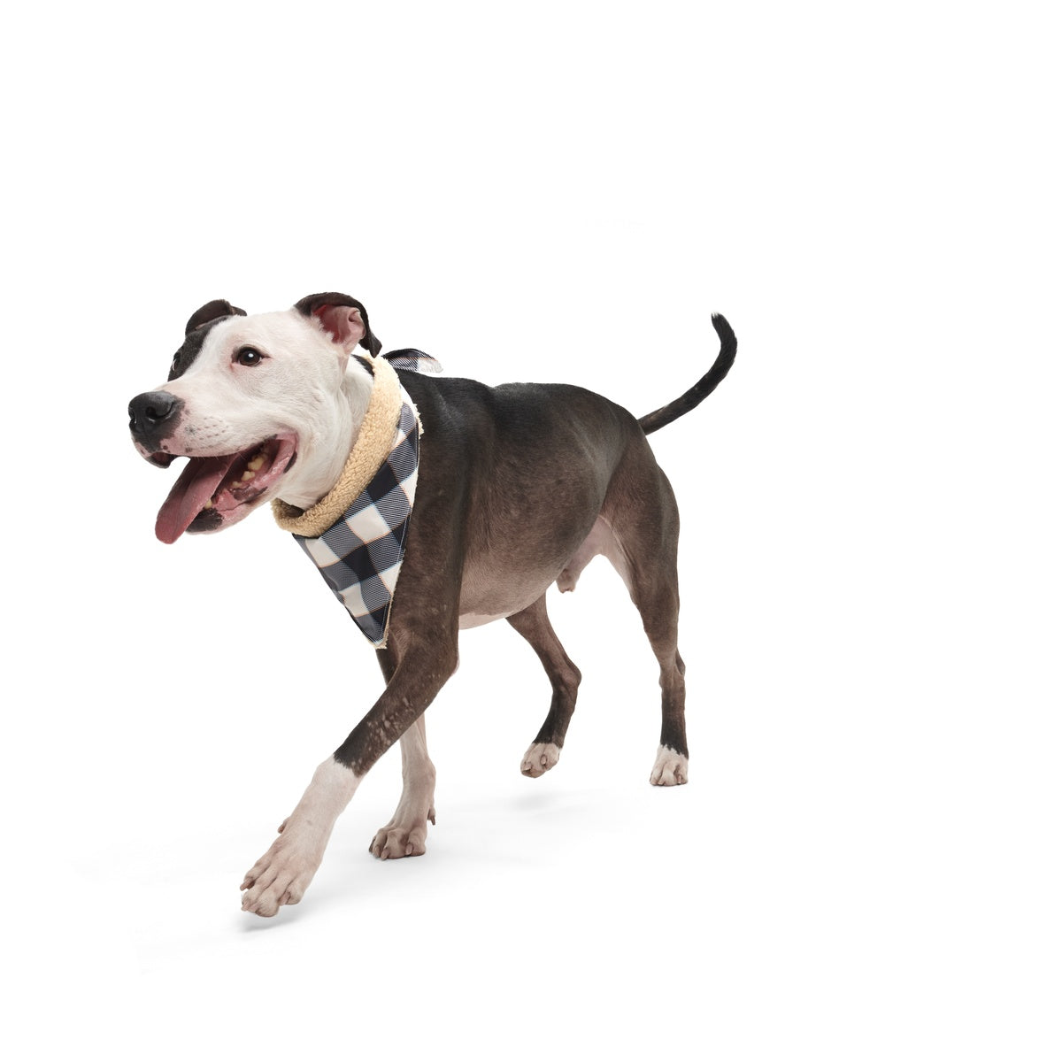 Plaid To The Bone Bandana