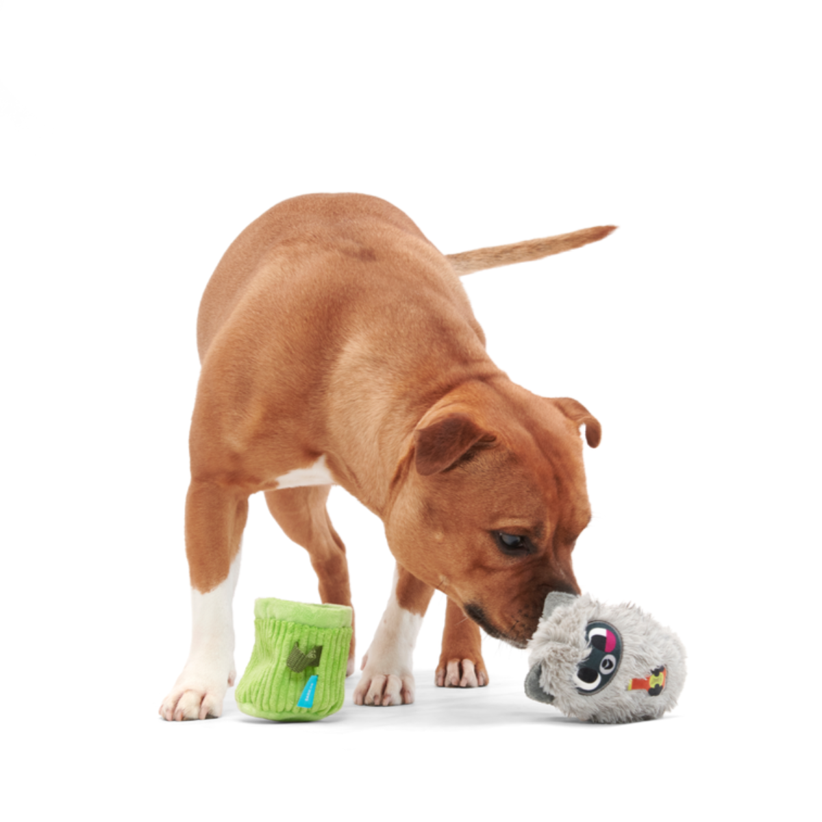 Rickie Racoon the Trash Tycoon