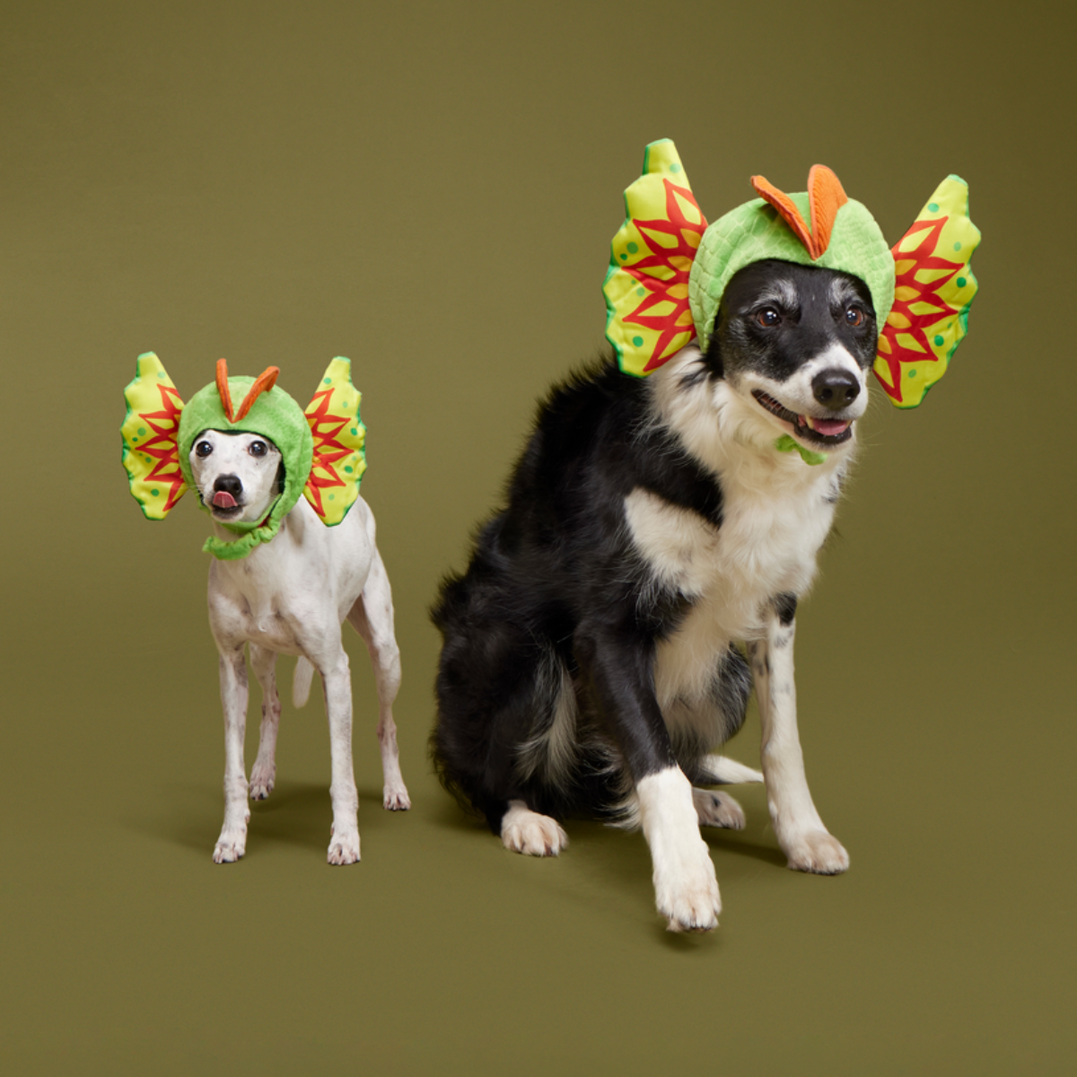 Spittin' Image Dino Collar