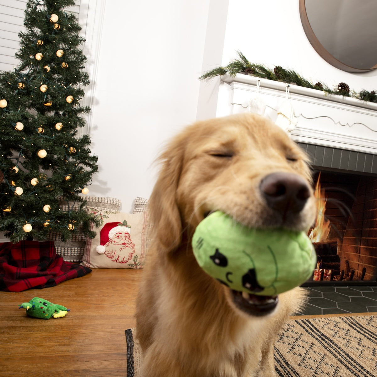 Christmas Best Sellers Dog Toy & Treat Holiday Gift Box