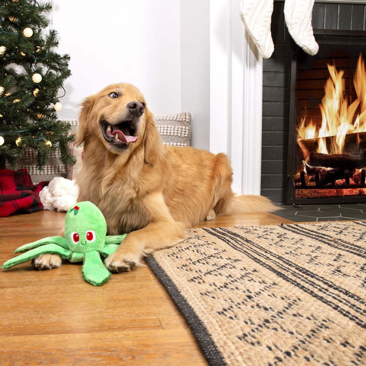 BOX-ATB_211194_HOLLY-JOLLY-OLLIE-XS-S_2356_cropped#Size_M/L