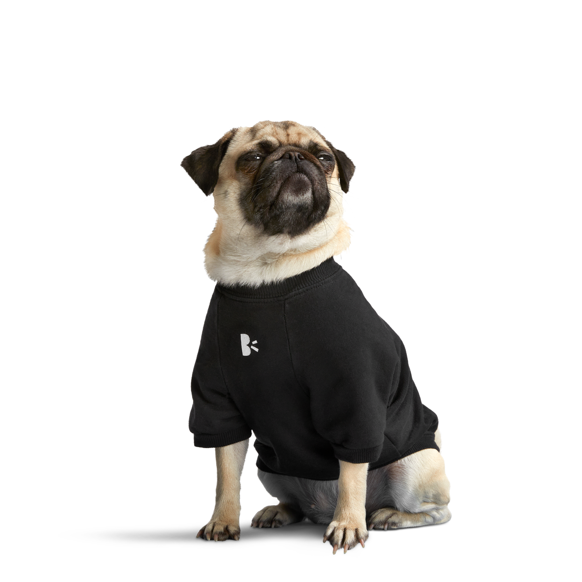 BOX-SC-GWP-ATB_212687_ANTI-SQUIRREL-HOODIE-S_1737_cropped#Size_S