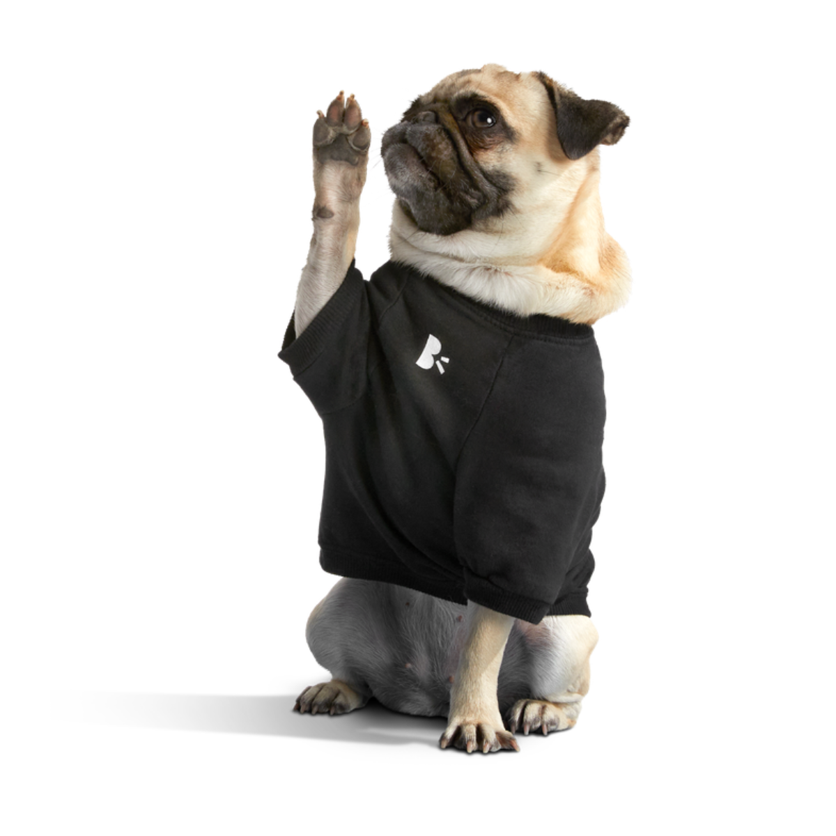 BOX-SC-GWP-ATB_212687_ANTI-SQUIRREL-HOODIE-S_1780_cropped#Size_S