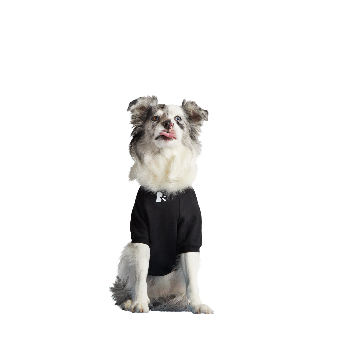 BOX-SC-GWP-ATB_212688_ANTI-SQUIRREL-HOODIE-M_0646_cropped#Size_M