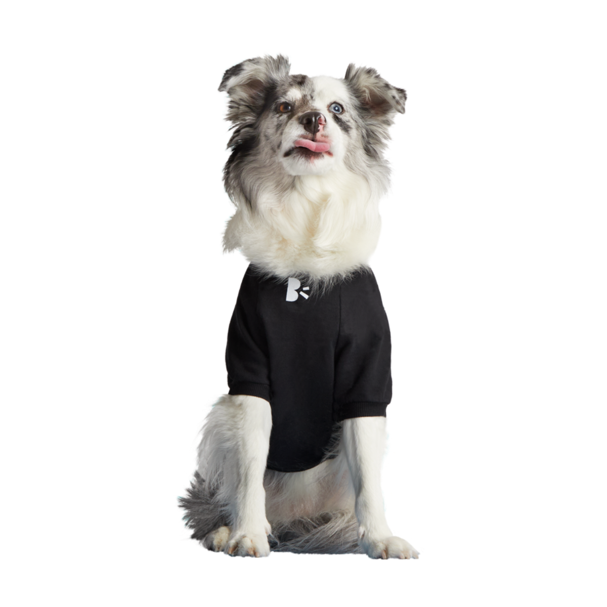 BOX-SC-GWP-ATB_212688_ANTI-SQUIRREL-HOODIE-M_0646_cropped#Size_M