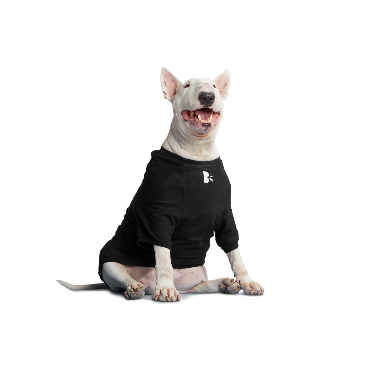 BOX-SC-GWP-ATB_212689_ANTI-SQUIRREL-HOODIE-L_0528_cropped#Size_L