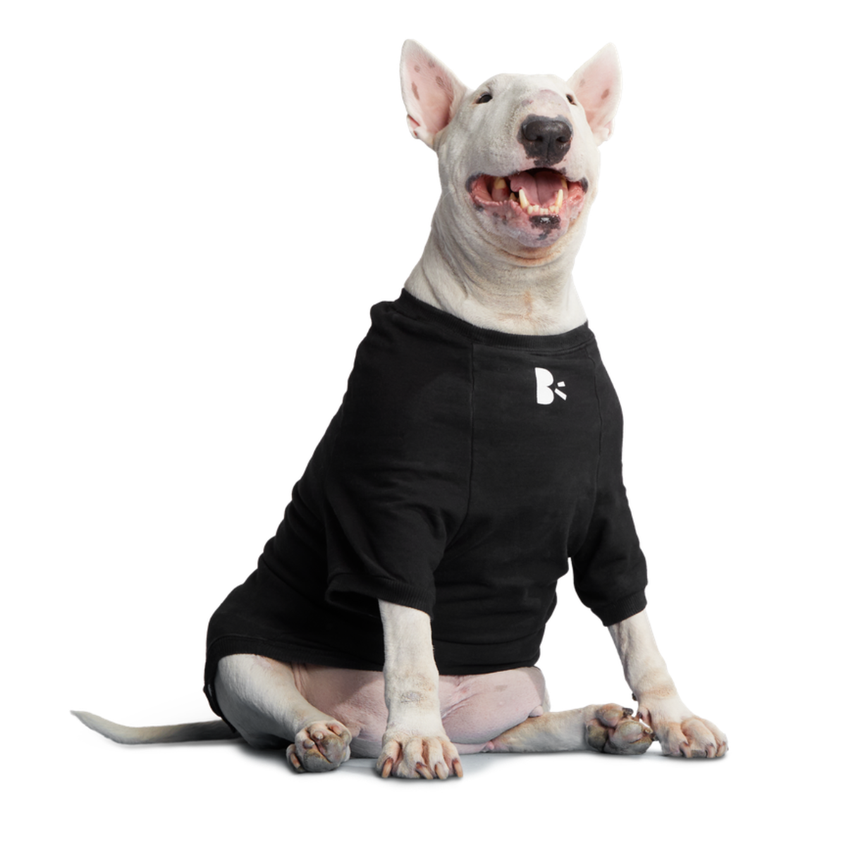 BOX-SC-GWP-ATB_212689_ANTI-SQUIRREL-HOODIE-L_0528_cropped#Size_L