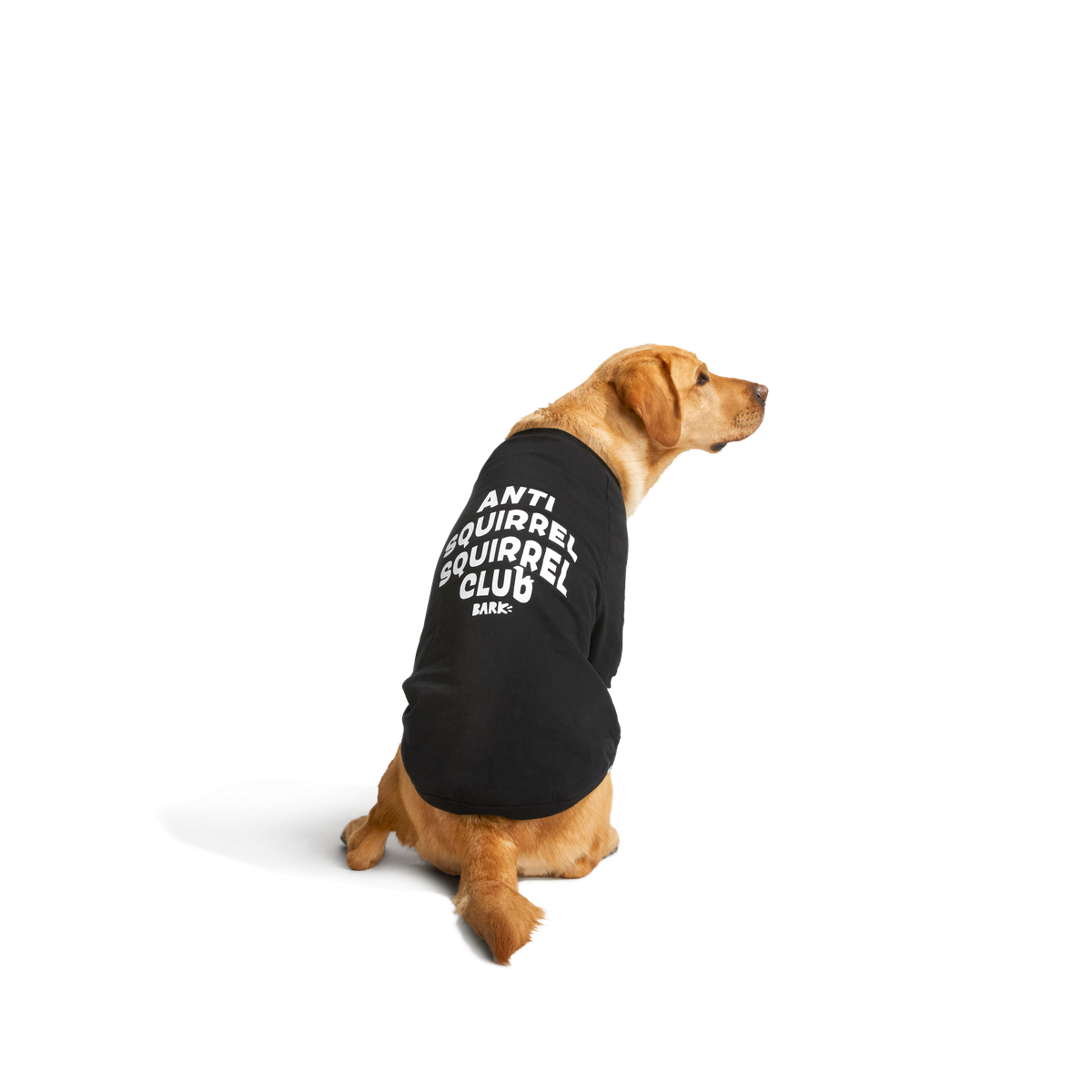 BOX-SC-GWP-ATB_212689_ANTI-SQUIRREL-HOODIE-L_1495_cropped#Size_L