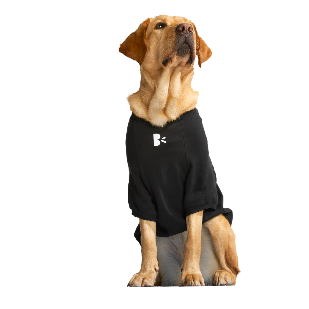 BOX-SC-GWP-ATB_212689_ANTI-SQUIRREL-HOODIE-L_1645_cropped#Size_L