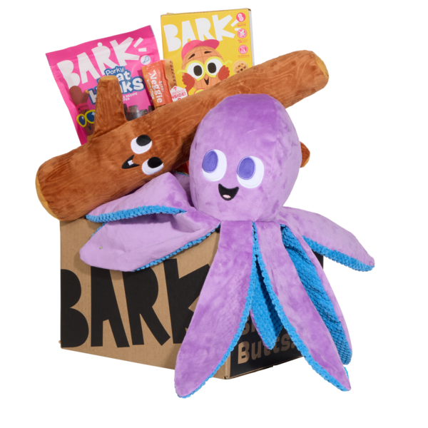 BarkBox 12 Month Subscription - XL First Box
