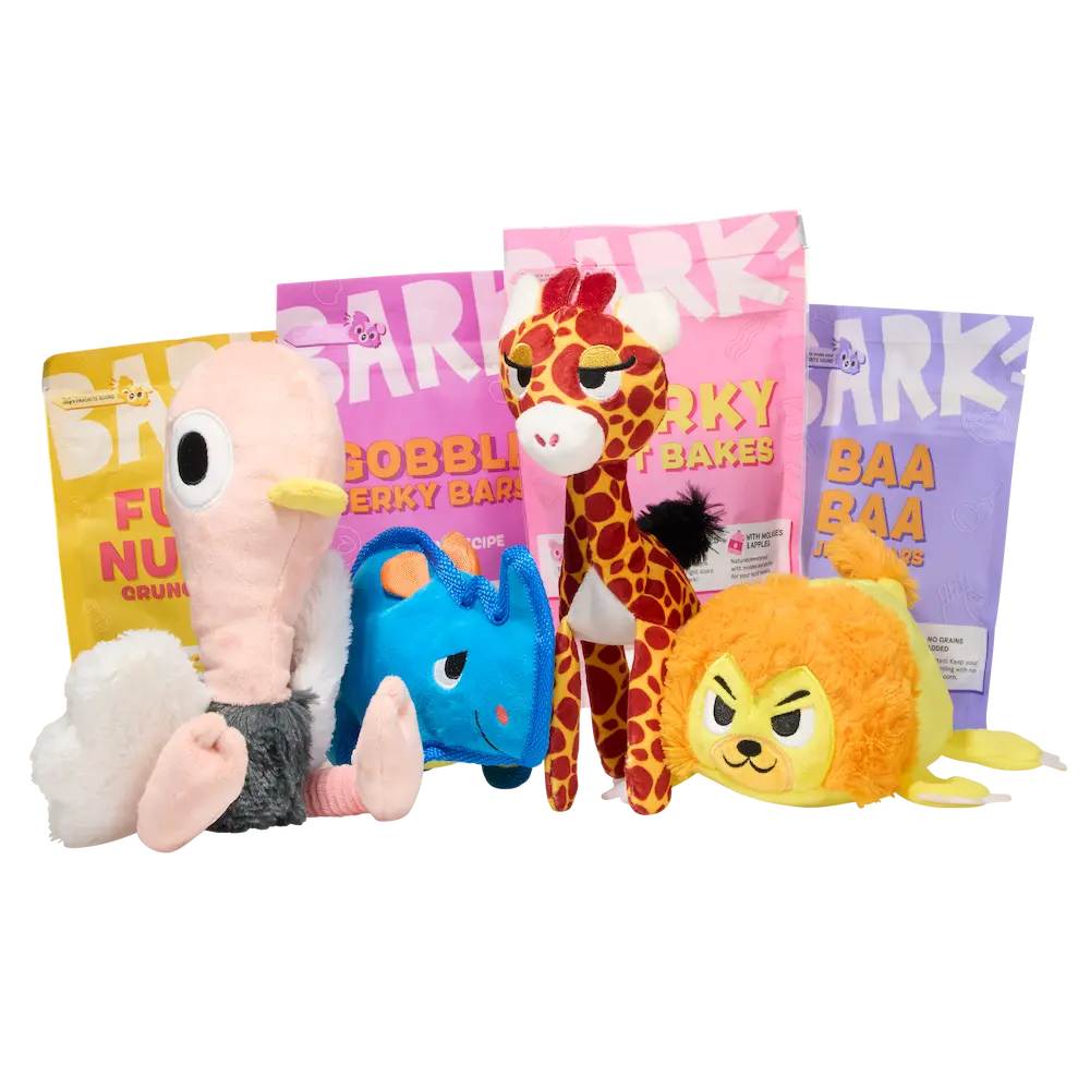 BarkBox 12 Month Subscription - Double Deluxe + FREE Extra Toys