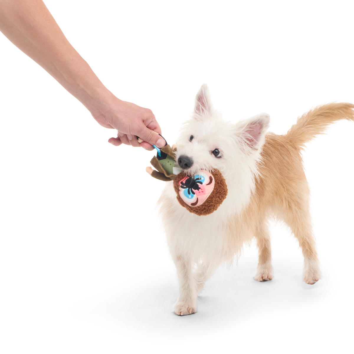 BOX_208791_MARV-S_PACO_36392_cropped#Size_S