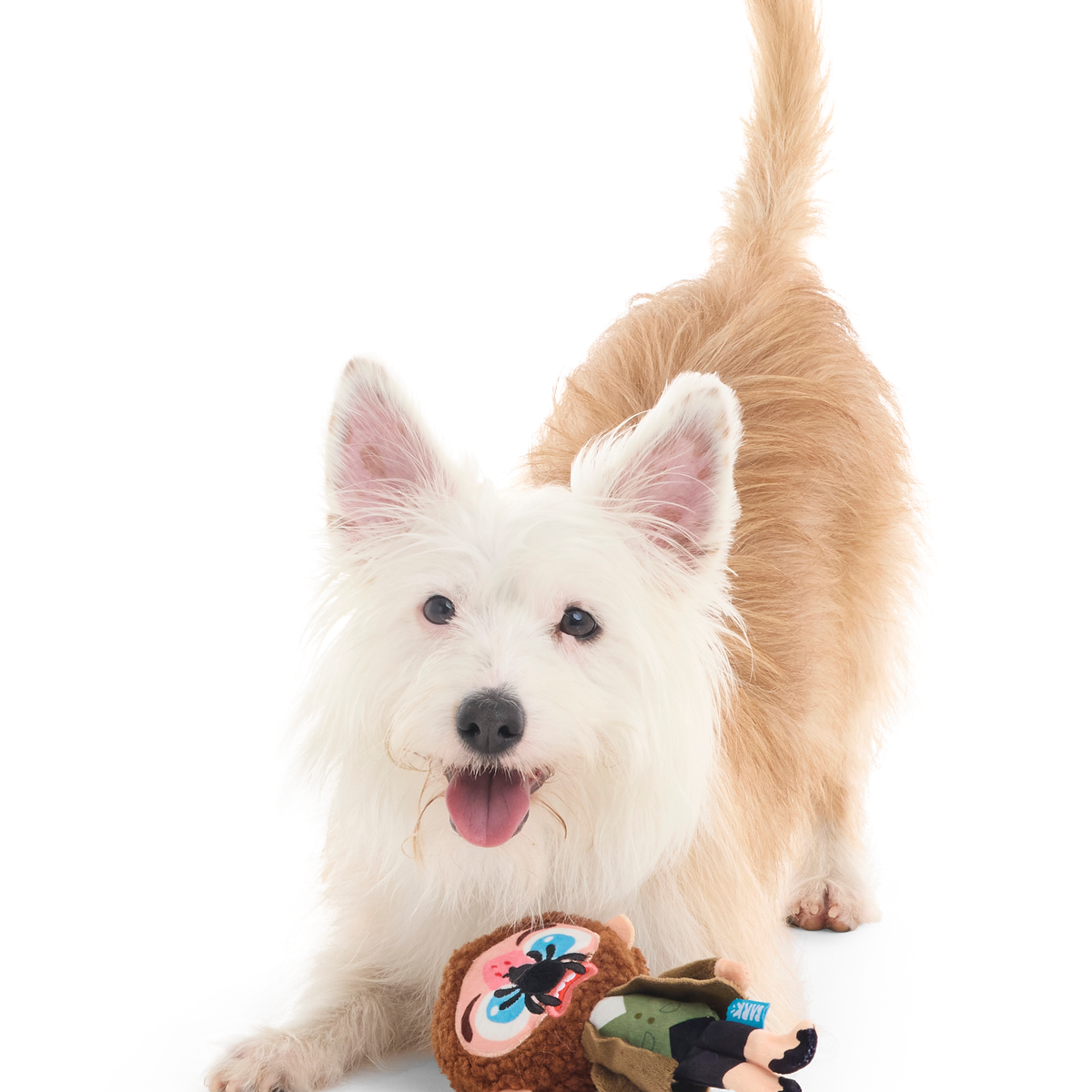 BOX_208791_MARV-S_PACO_36401_cropped#Size_S