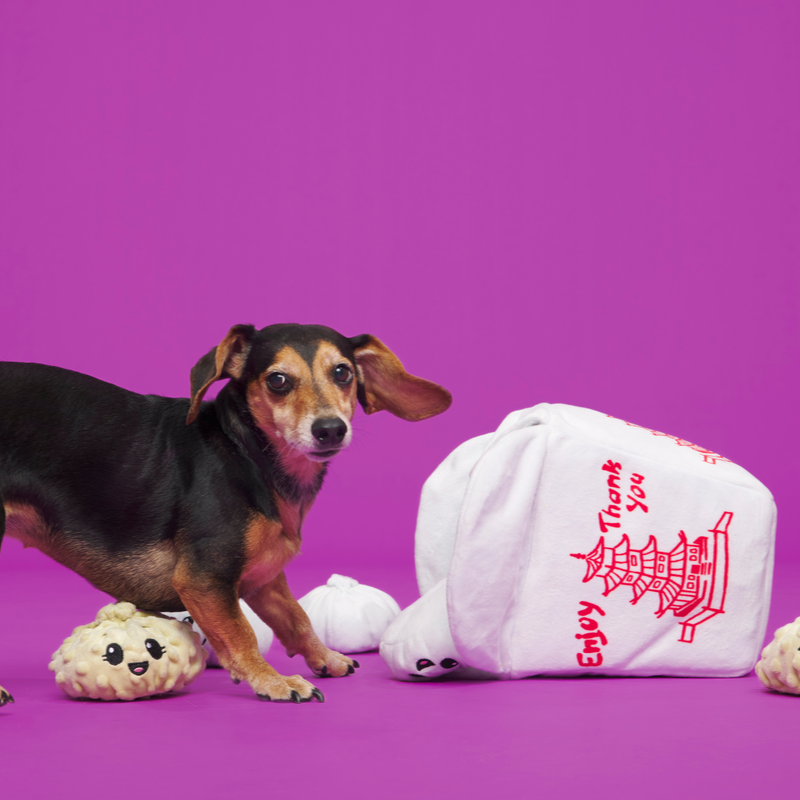 Andi's Famous Plush Dumplings