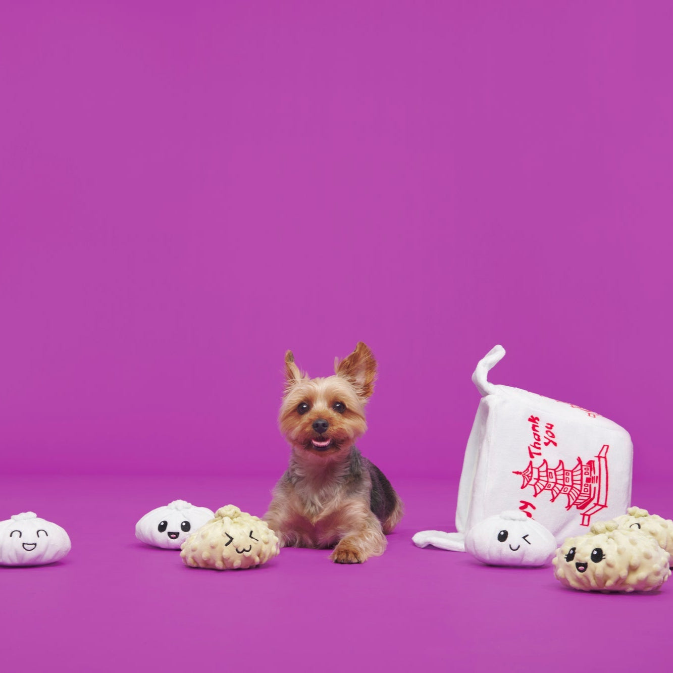 Andi's Famous Plush Dumplings