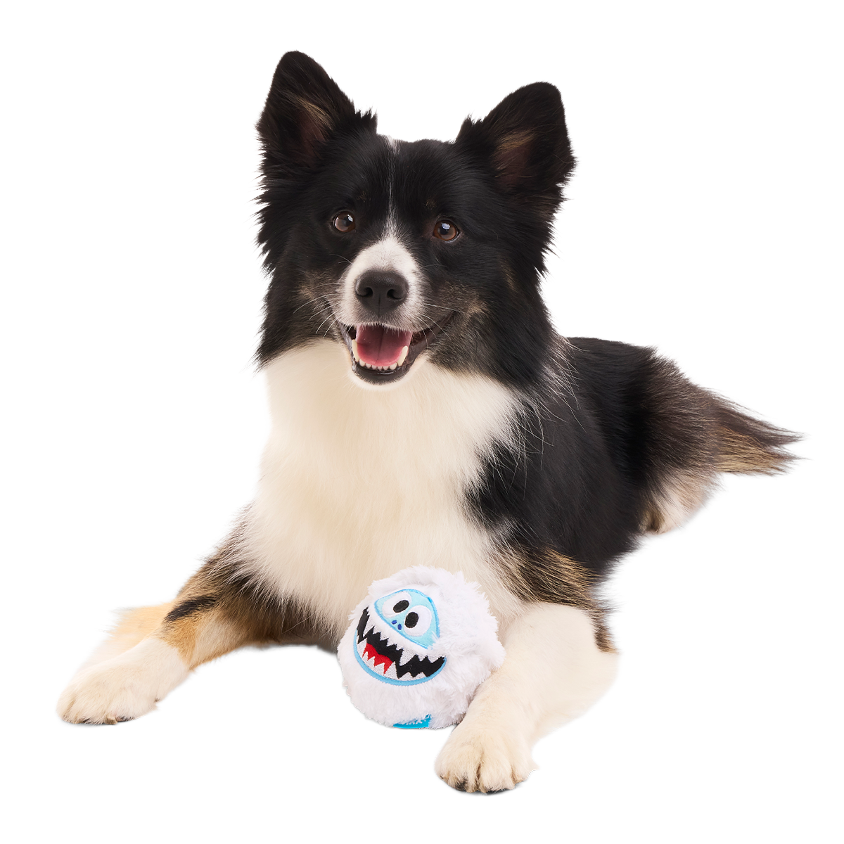 Bumble™ Bounce Plush Fetch Dog Toy