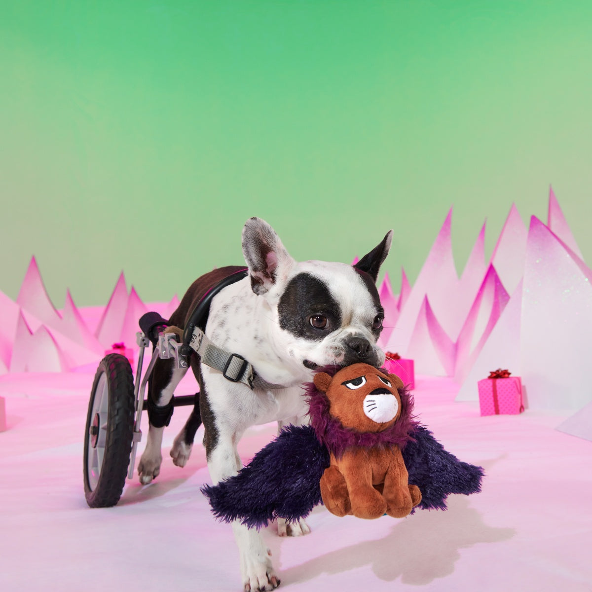 Rudolph Holiday Gift BarkBox#Extra Toy_Double Deluxe