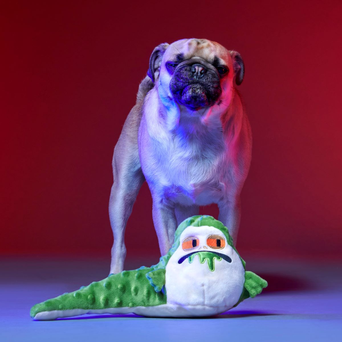 No Barkin', Young Jedi™