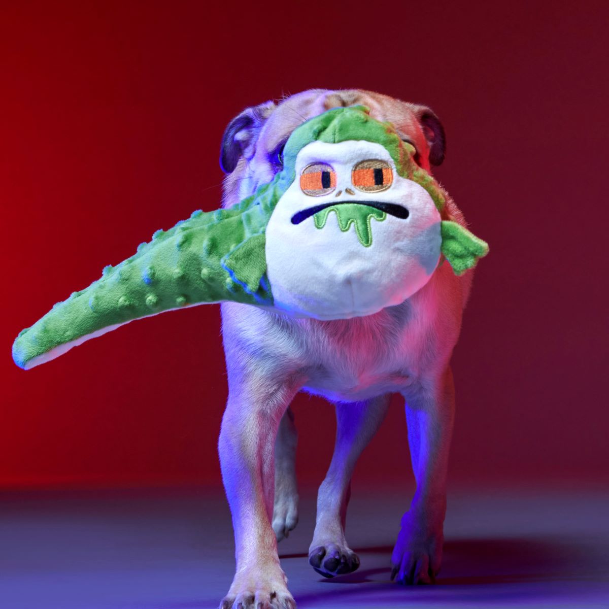 No Barkin', Young Jedi™