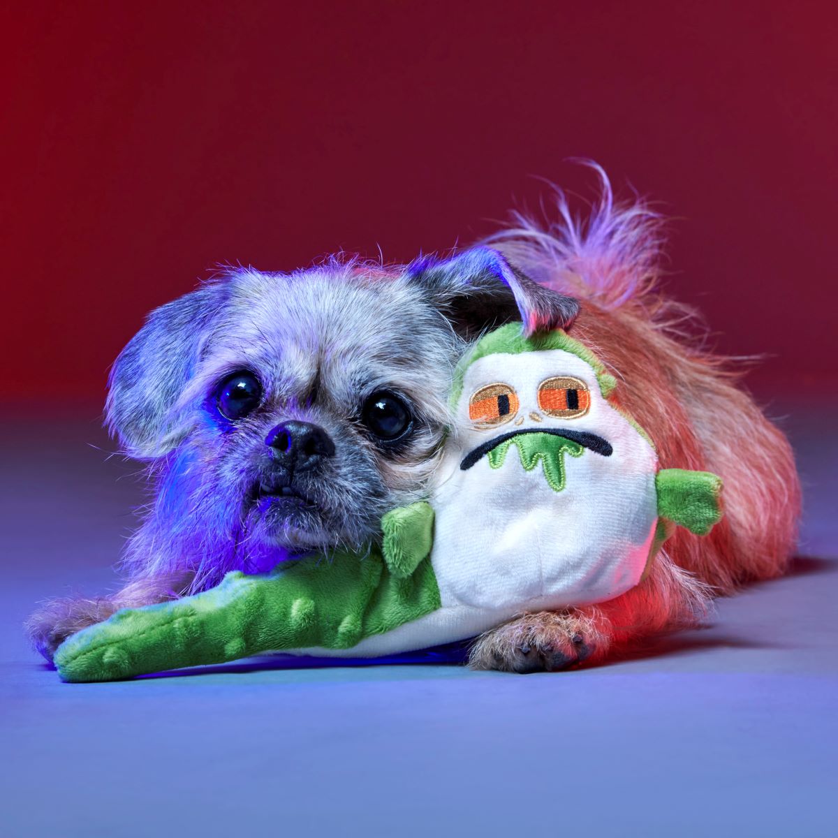 No Barkin', Young Jedi™