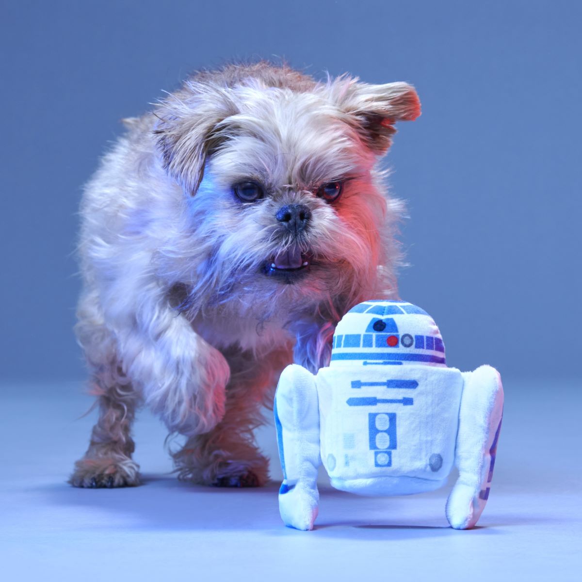 BOX_211970_BEEP-BOOP-SQUEAK-XS-S_1926#Size_S