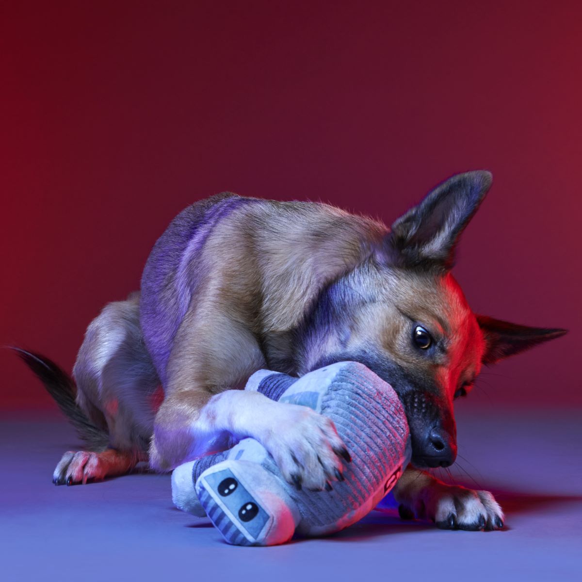 Dark Side Star Wars™ Plush Bundle Tug + Multi-Part Dog Toy