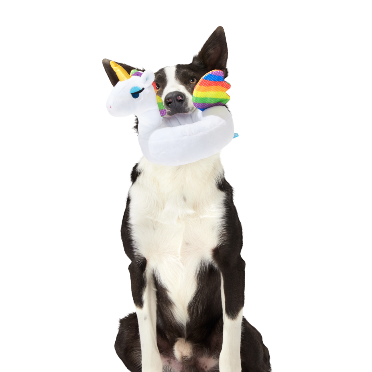 Tina the Tubular Unicorn Plush Tug Dog Toy