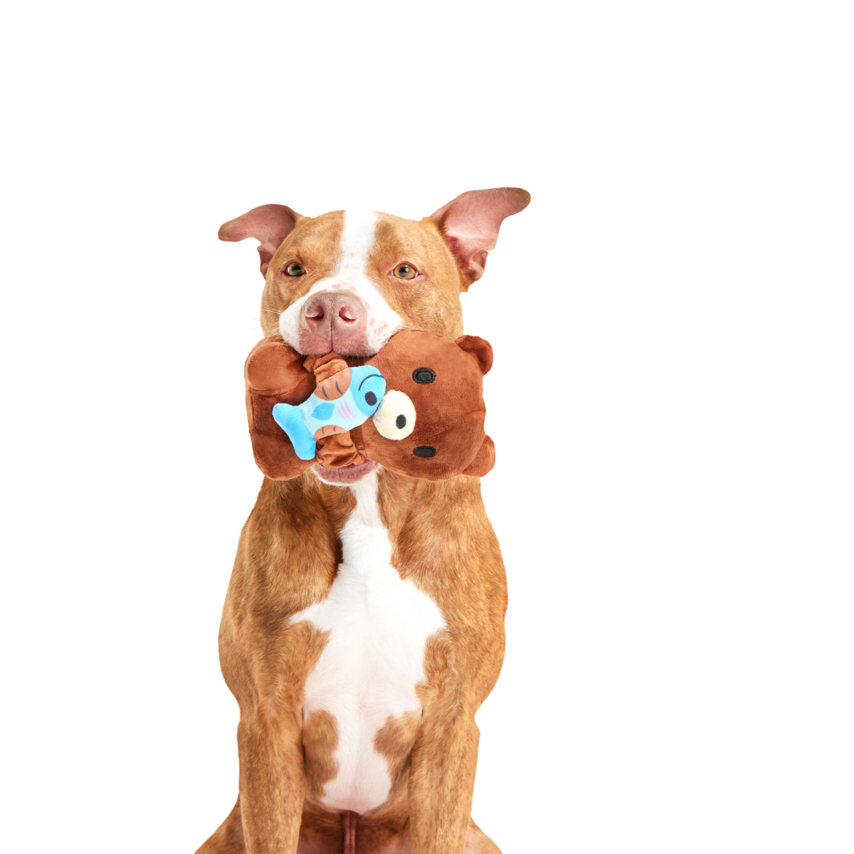 Izzy the Grizzly & Sal Plush Tug Dog Toy