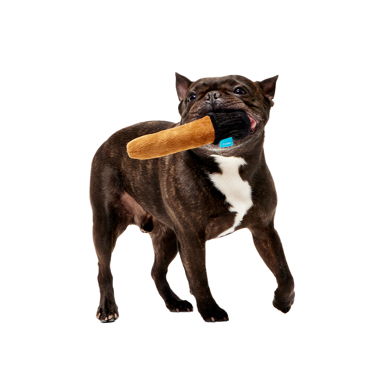 Spellbinding Wand™ Plush Tug Dog Toy