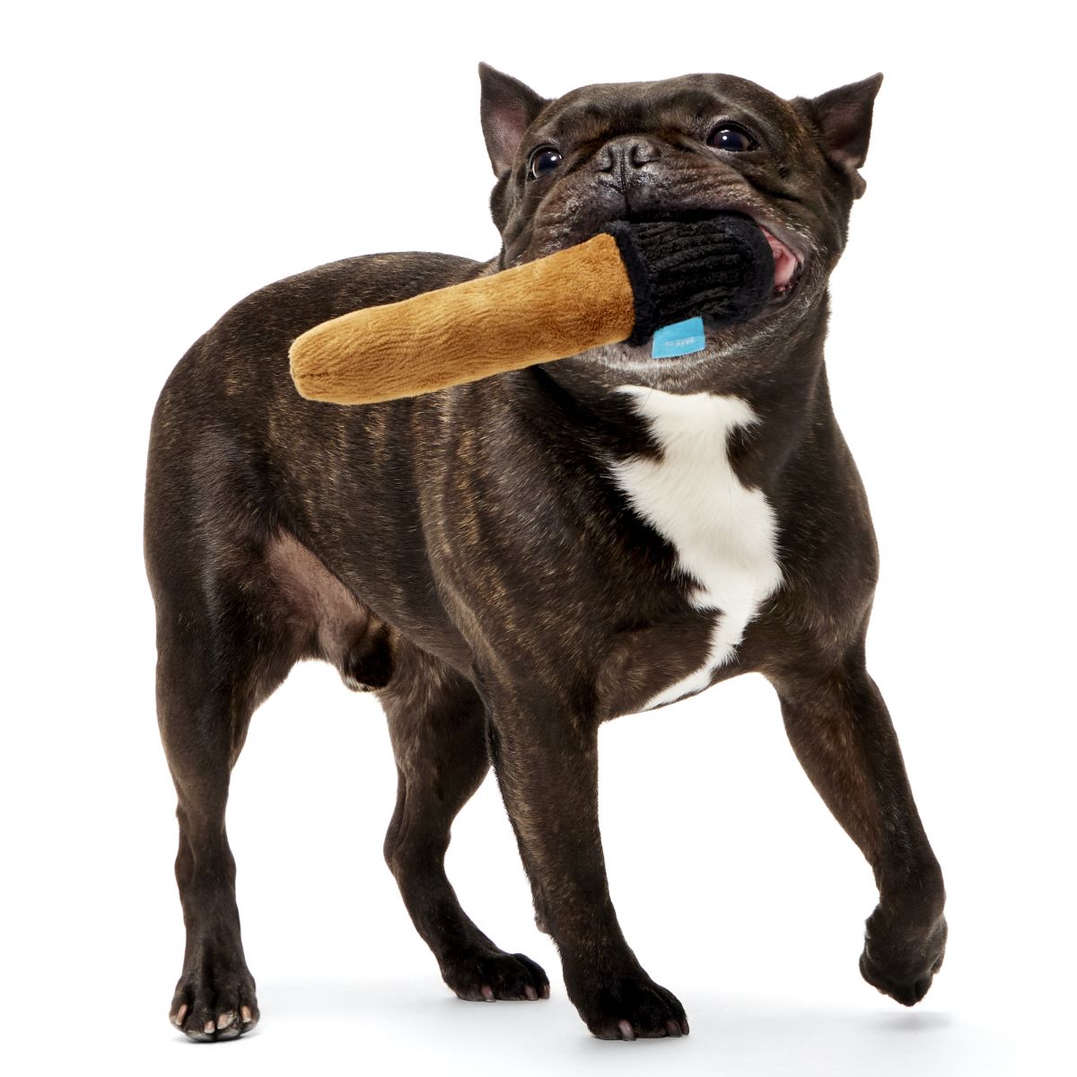 Spellbinding Wand™