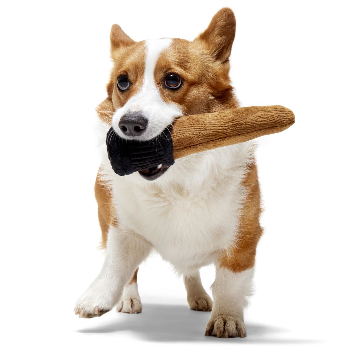 Spellbinding Wand™