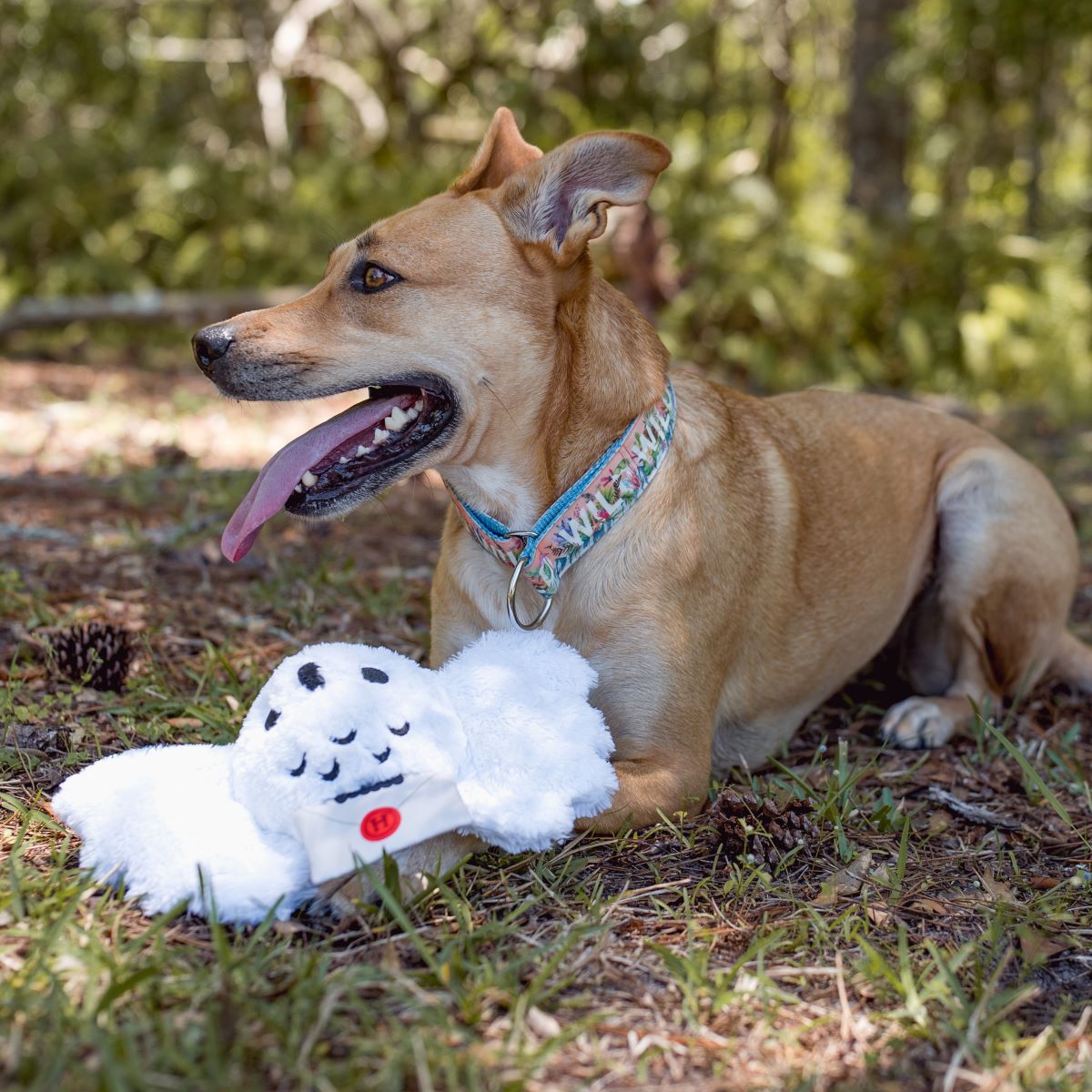 Hedwig™ Plush Tug Dog Toy