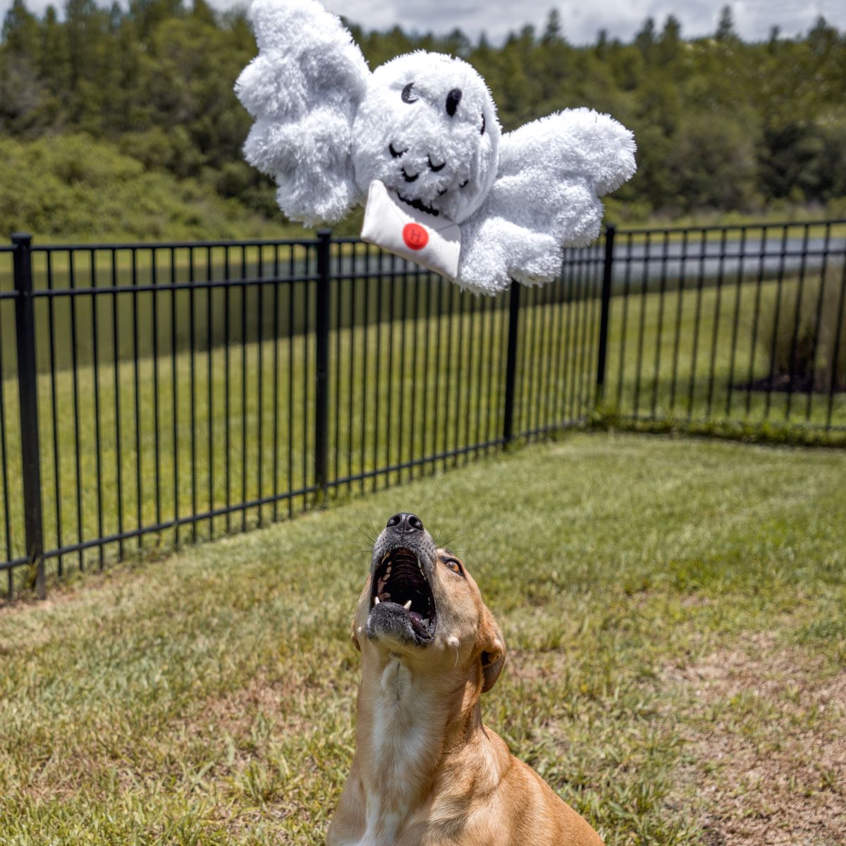 Hedwig™ Plush Tug Dog Toy