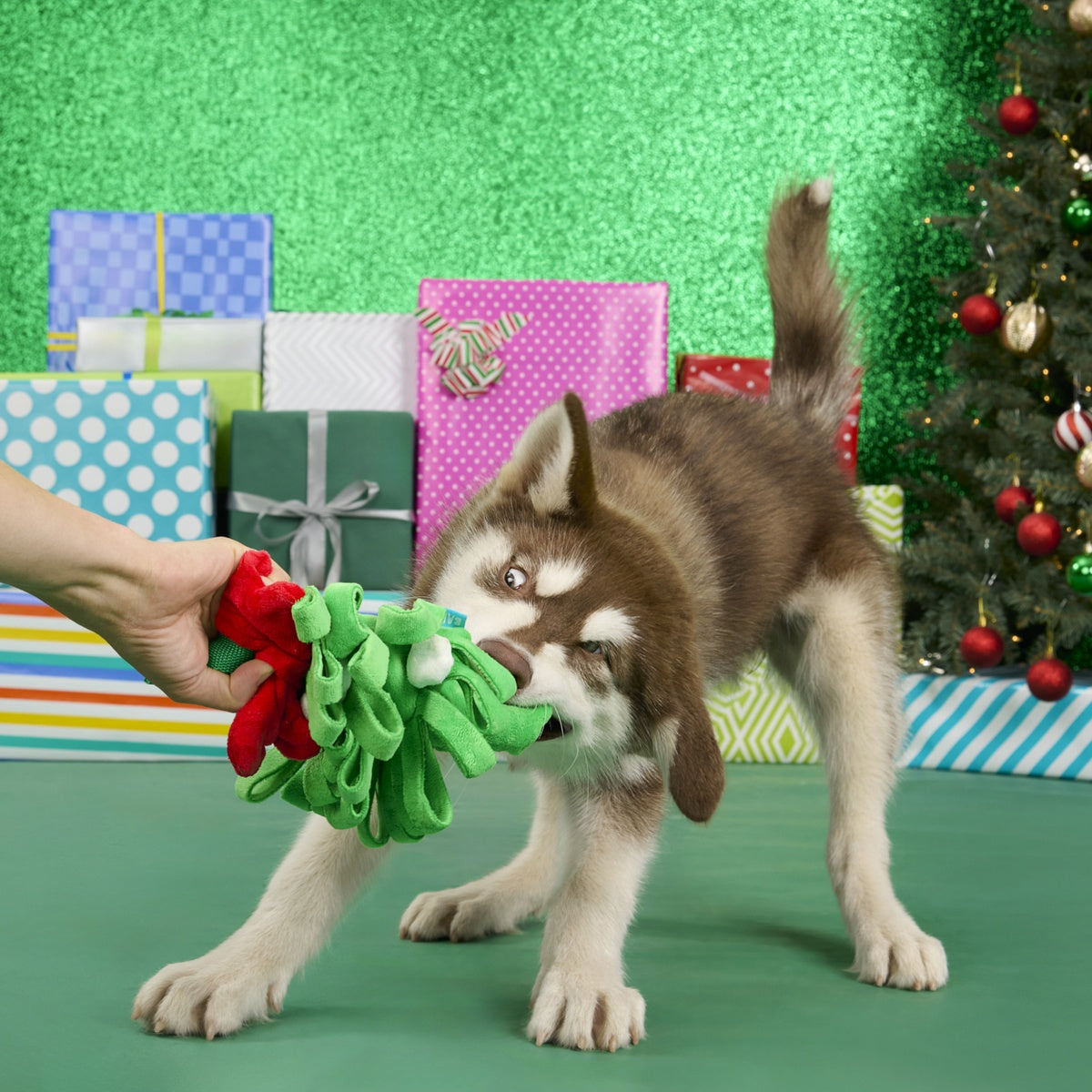 Sniffletoe Tug and Rope Plush Dog Toy